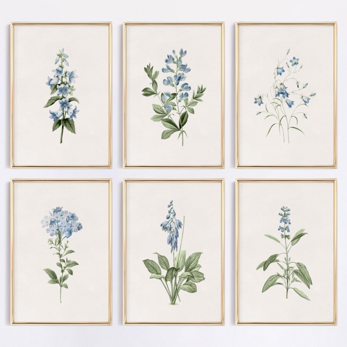 Photography Nature - 1pcs Blue Wildflower Botanical Canvas Print
