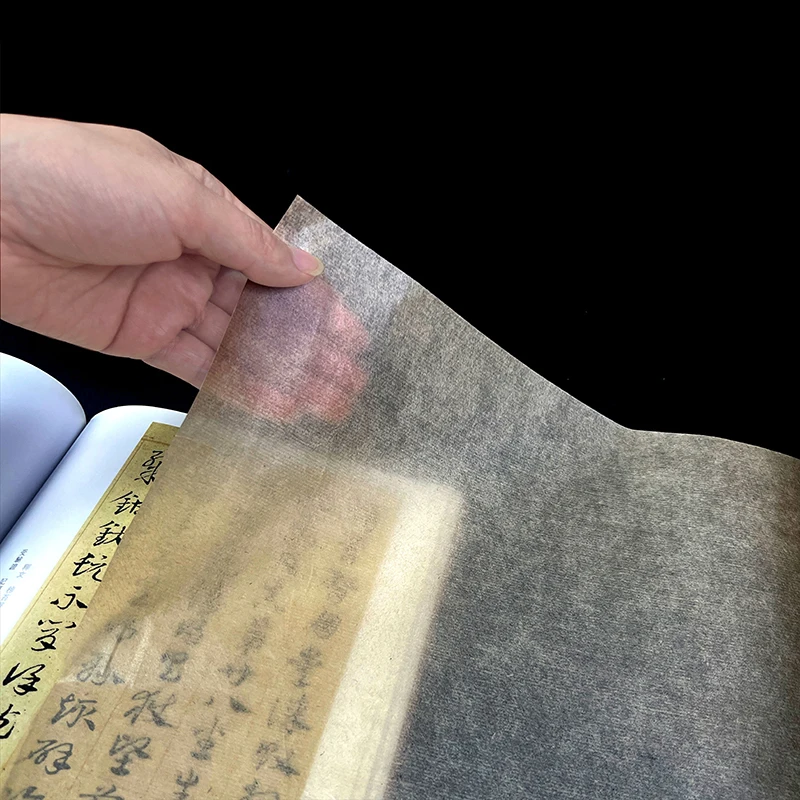 20M Chinese & Japanese Calligr - Photography Technique reseña y precio