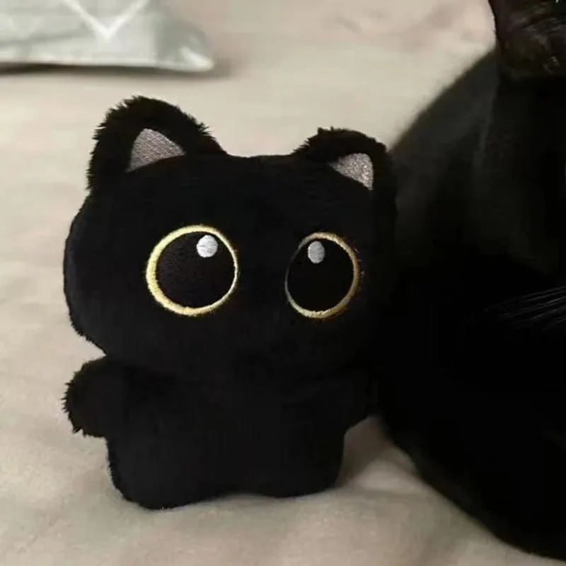 Cute plush toy of a black cat, - Photography Rules reseña y precio