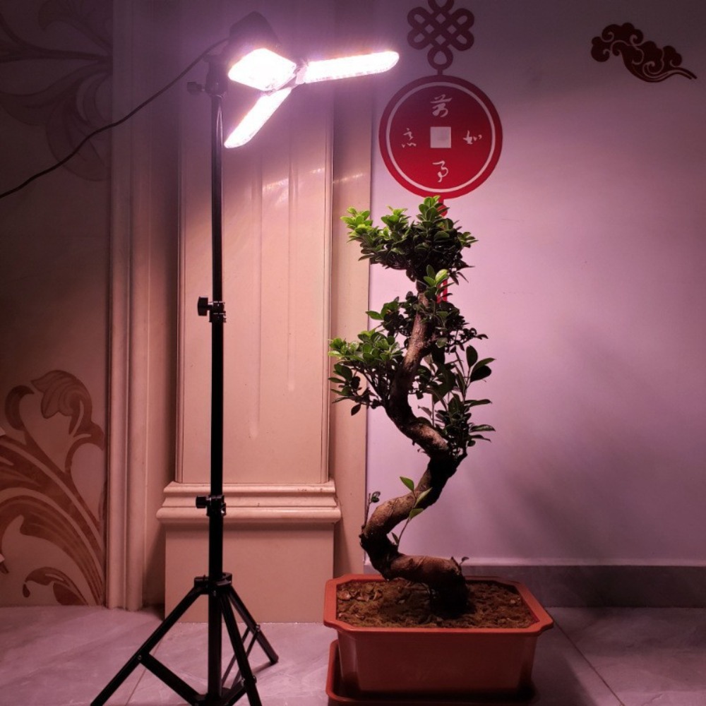 Light Bulb Stand 2M, E27 AC So - Photography Umbrella reseña y precio