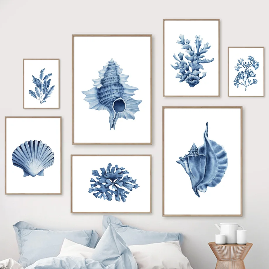 Blue Seaweed Coral Shell Conch - Photography Nature reseña y precio