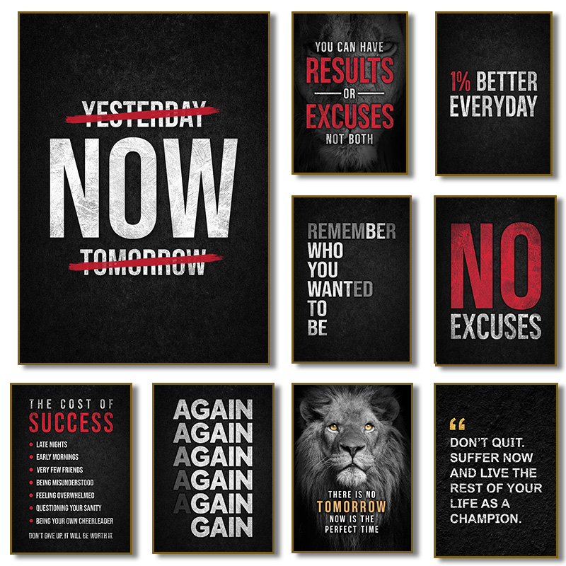 No Excuses Motivational Poster - Photography Nature reseña y precio