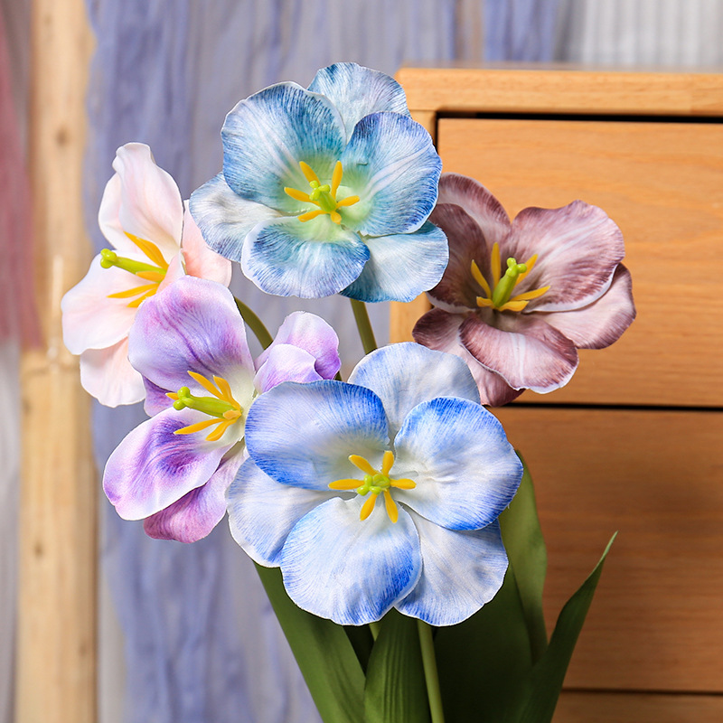 5pc 54cm Flip Tulip Gradient M - Photography Wedding reseña y precio