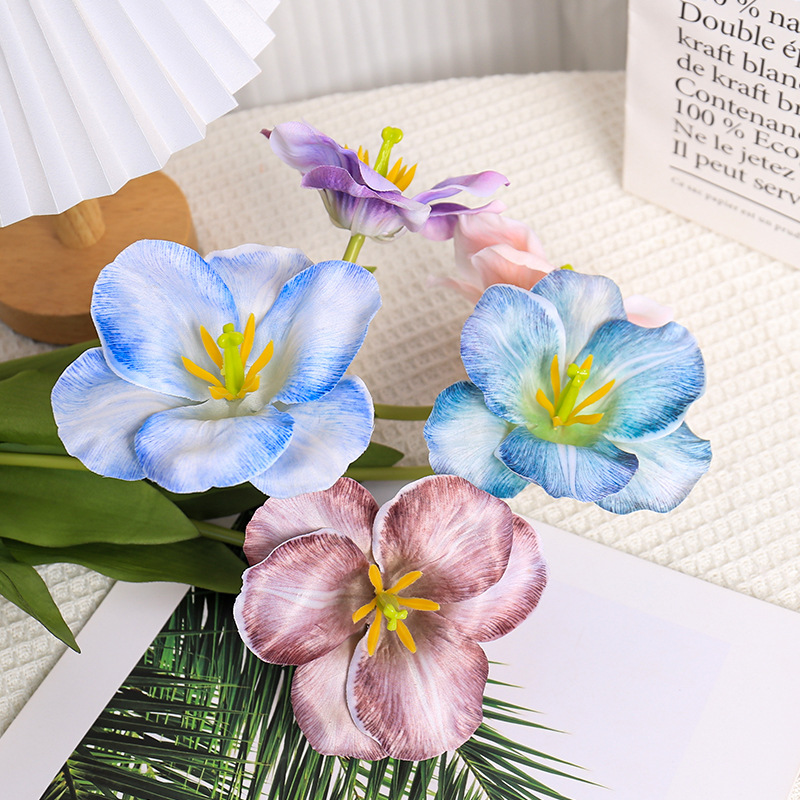 5pc 54cm Flip Tulip Gradient M - Photography Wedding reseña y precio