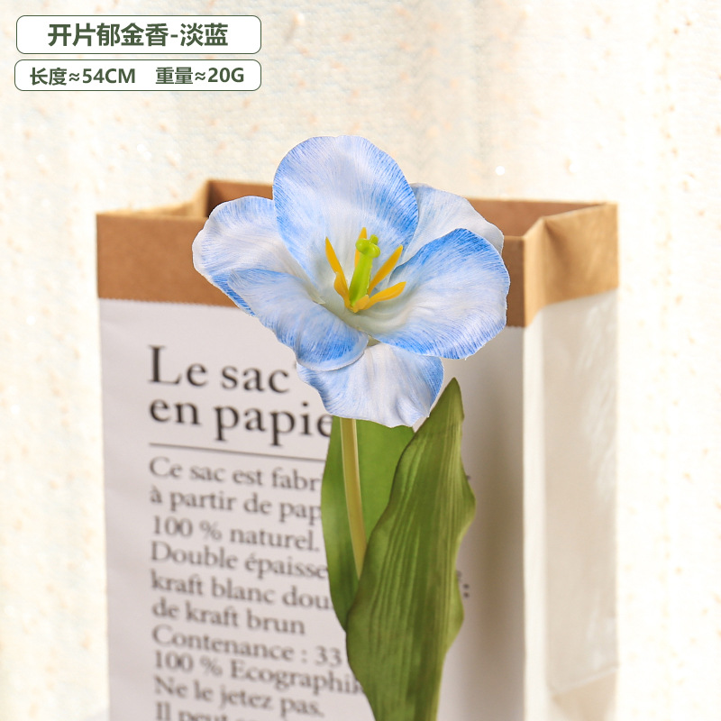 5pc 54cm Flip Tulip Gradient M - Photography Wedding reseña y precio